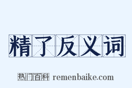 精了反义词是什么意思的图片